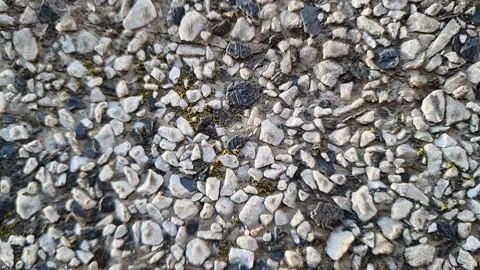Close-up macro shot of seamless terrazzo pattern of marble mosaic natural Stock Footage 186959066