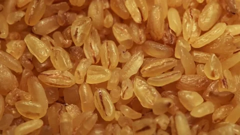 Close up macro shot of shiny textured bulgur seeds with moving light Stock Footage 152868343
