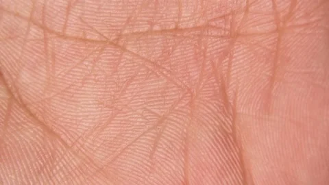 Close up macro shot of the skin surface texture and lines of human hands palms Video stock 130884522