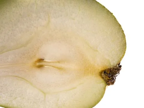 Close up macro shot of sliced fresh pear half backlit on white background 스톡 사진