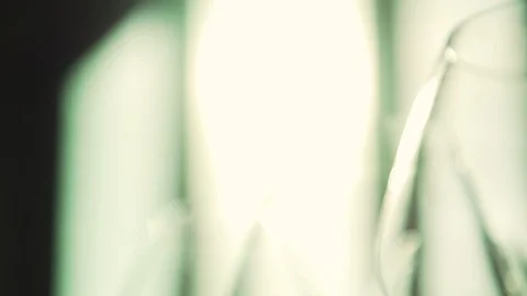 Close up macro shot, sun is shining on empty wine glasses, glass abstract image. Stock Footage 120844601