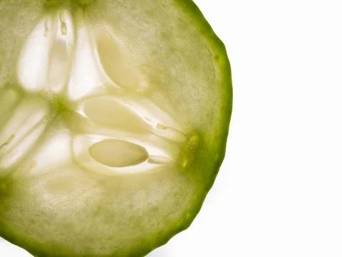 Close up macro shot of translucent cucumber slice isolated on white backgroun Foto stock