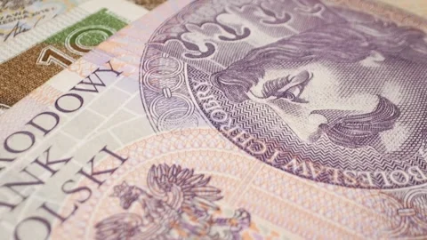 A close-up macro shot of various Polish zloty banknotes with a sliding motion. Stock Footage 301781444