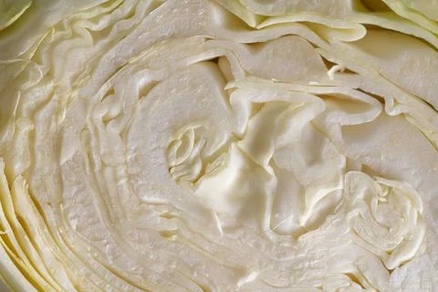 Close up macro shot of white cabbage texture Stock Photos
