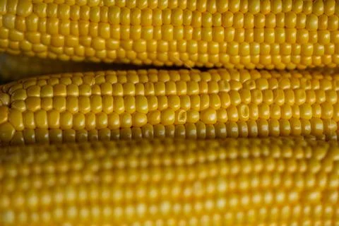 Close up macro shots of golden colored corn Stock Photos