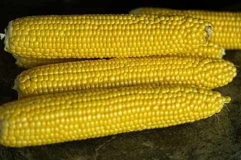 Close up macro shots of golden colored corn Stock Photos