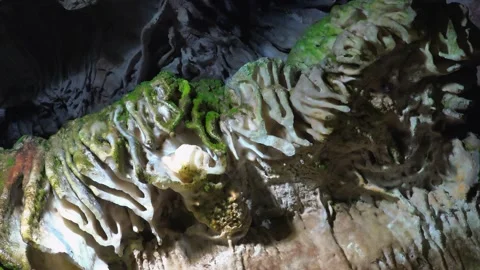 Close up macro shows moss growing on moist limestone - Surface and Subterranean Stock Footage 339389827