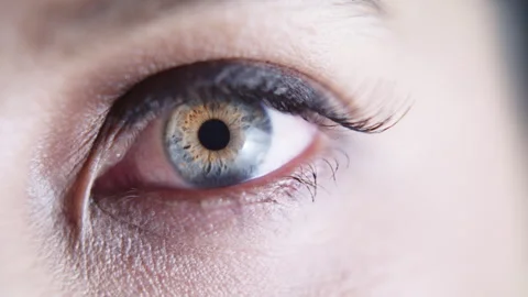 Close up macro slow motion shot of beautiful green eye opening Vidéo 273416545