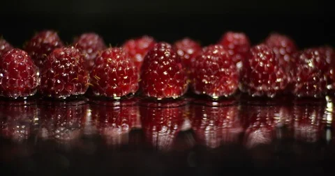 Close up macro studio  focus pulling  to a row of fresh raspberries 库存影片 114956381