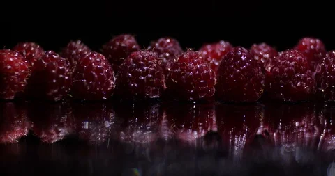 Close up macro studio light movement  along a row of fresh raspberries Video stock 114958488