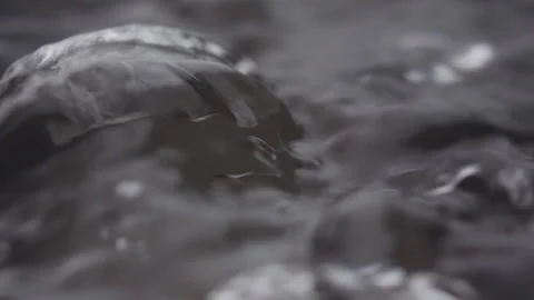 Close up macro of surface boiling water Stock Footage 274233195