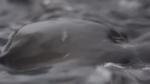 Close up macro of surface boiling water Stock Footage 274233199