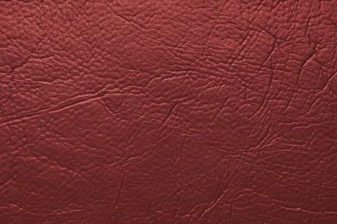Close up, macro texture of red glossy natural genuine leather, leatherette .. Stock Photos