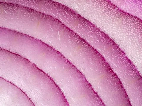 Close up macro texture of a sliced red onion showing layers Stock-Fotos