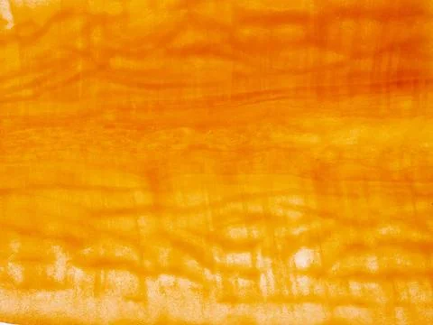 Close up macro texture of thin backlit orange carrot slice background Foto stock