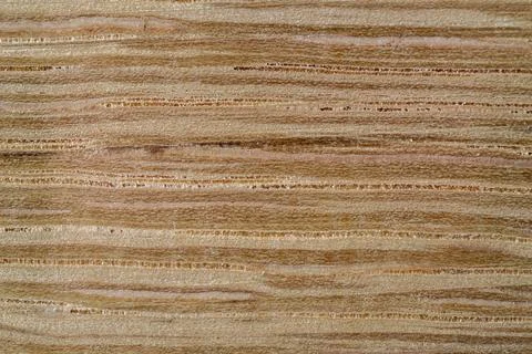 Close up macro texture of untreated oak hardwood grain Foto stock