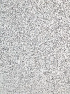 Close up macro texture of white surface with scattered tiny blue dots Stock Photos