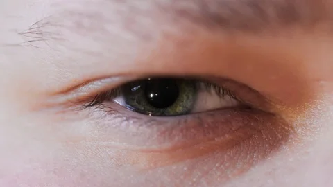 Close up macro view of blinking eye with contracting iris, pupil. Male eyes Stock Footage 104555354