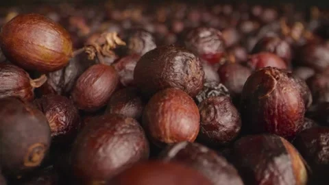 Close up macro view of dark brown Stock-Footage 333113199