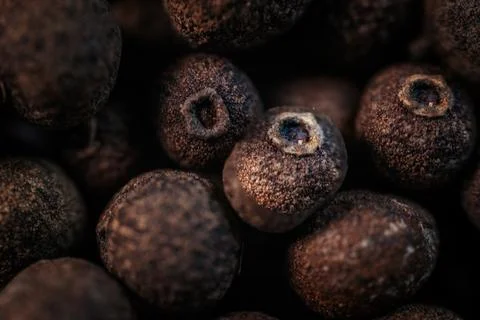 Close-up macro view of dried allspice berries Stock Photos