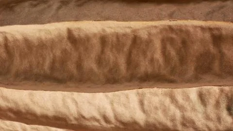 Close-up macro view of dried luffa skin, full frame Stock Photos