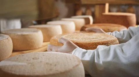 Close-up macro view of farmer hands holding big fresh exclusive yellow tasty Stock Photos