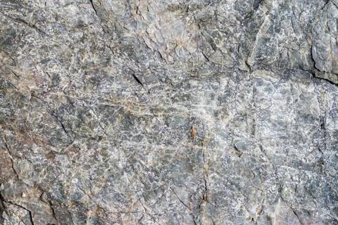 Close-up macro view of grey stone surface. Detailed nature pattern texture Foto stock