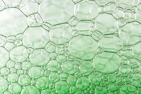 Close-up macro view of interconnected green soap bubbles forming a geometri.. Stock Photos
