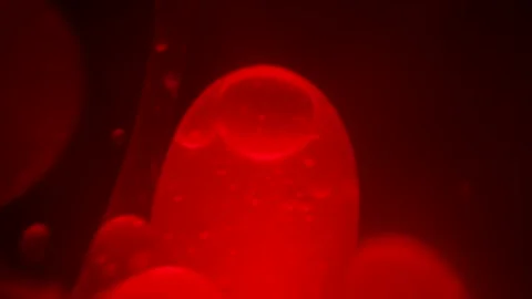 Close up macro view of the lava balls floating inside a lava lamp Stock Footage 245154326