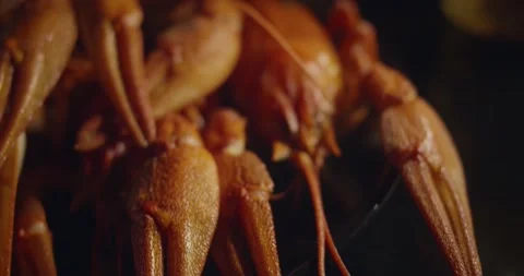 Close up macro view of lobsters and crawfish on black background Stock Footage 142736052