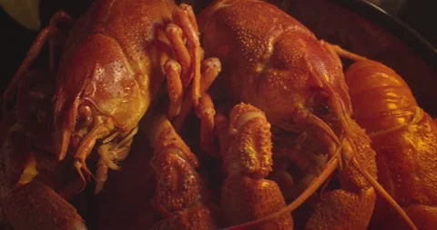 Close up macro view of lobsters and crawfish on black background Stock Footage 142736121