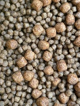 Close-up macro view of mixed pellet animal feed texture and background Stock Photos