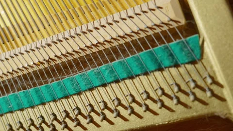 Close-Up Macro View of Piano Soundboard with Strings, Pins and Felt Dampers Video stock 329891792