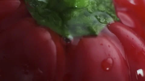 Close-up Macro view of Red Sweet Pepper under Water Stream or Shower, Drops of Stock Footage 273131126