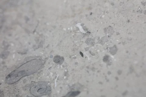 Close up macro view of rough grey stone granite surface detailed nature mar.. Foto stock