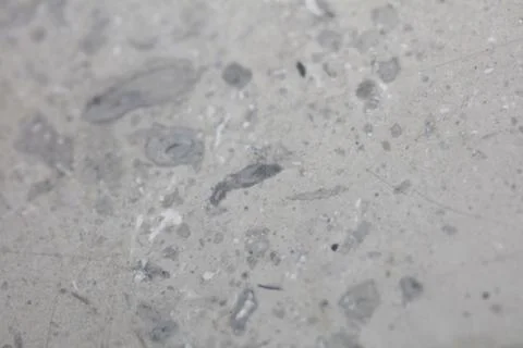 Close up macro view of rough grey stone granite surface detailed nature mar.. Stock Photos