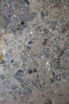 Close up macro view of rough grey stone granite surface detailed nature mar.. Stock Photos