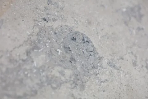 Close up macro view of rough grey stone granite surface detailed nature mar.. Stock Photos