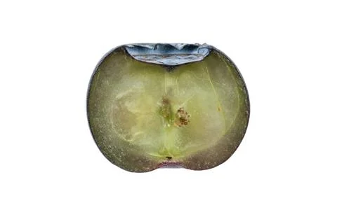 Close-up macro view of a single blueberry cut in half revealing its juicy i.. 스톡 사진