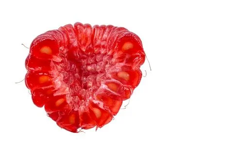 Close-up macro view of a single ripe red raspberry showing its intricate te.. Foto stock
