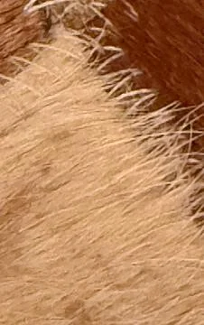 Close-up macro view of stitched fabric textures in warm brown and beige tones Stock Photos