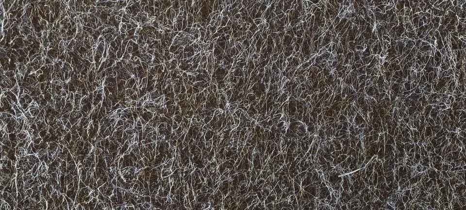 Close‑up macro view of tangled white and gray fibers 写真素材