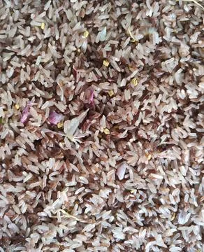 Close-up macro view of uncooked brown and purple rice grains, showcasing in.. Foto stock