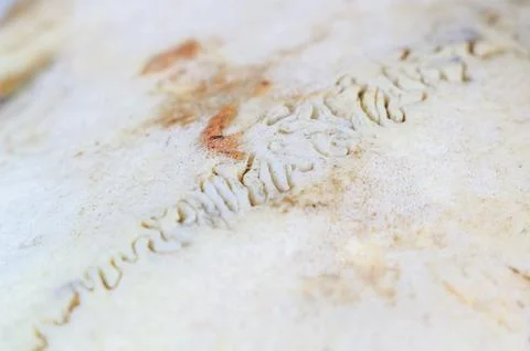 Close-up macro view of a weathered, textured bone surface with intricate pa.. Stock Photos