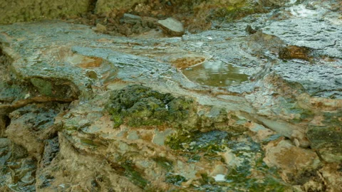 Close-up macro view of wet textured rock and moss 库存影片 348686713