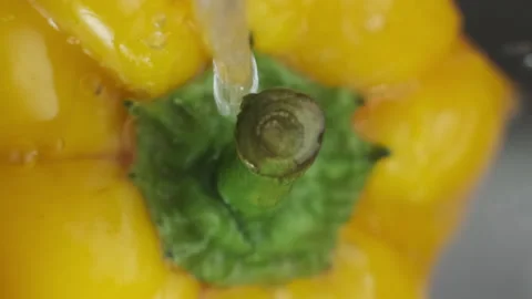 Close-up Macro view of Yellow Sweet Pepper under Water Stream or Shower, Drops Stock Footage 273131516