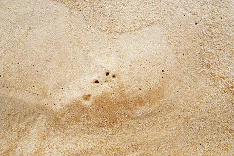 Close up macro wet beach sand for texture background Photos
