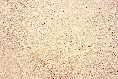 Close up macro wet beach sand for texture background Stock Photos