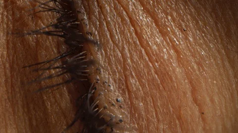 Close Up Macro Zoom Out Shot of an Eye. Young Beatiful Female Wake Up Open Eyes Stock Footage 121782291