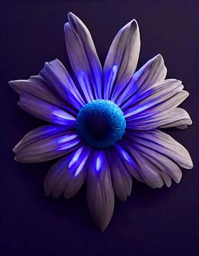 Close up of magic blue, African Daisy on floor. 3d render. Soft light on top. Stock Illustration